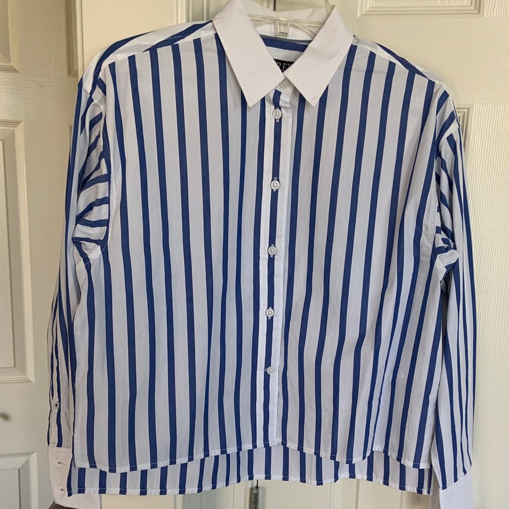 J Crew blue white stripe shirt